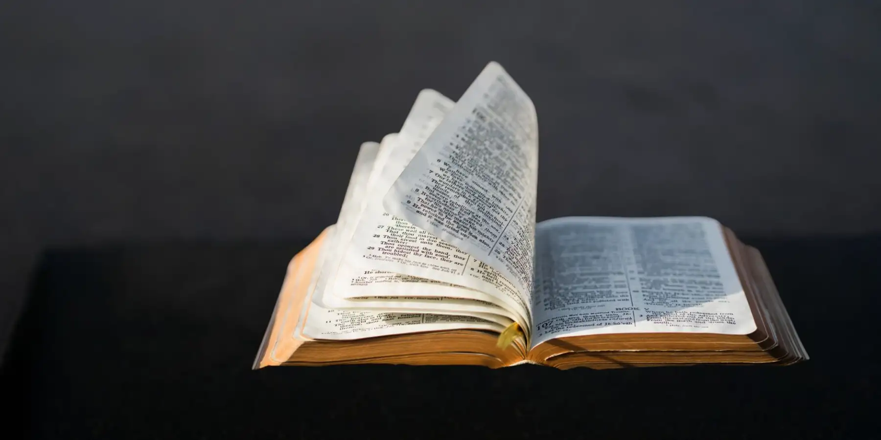 Quiz - Jak dobrze znasz Biblię?