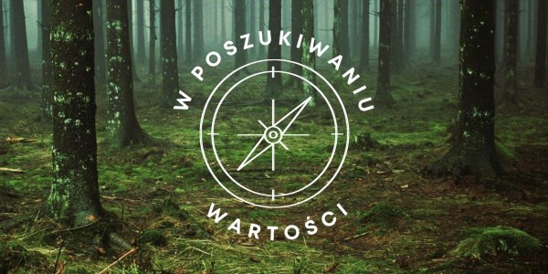 W poszukiwaniu wartości