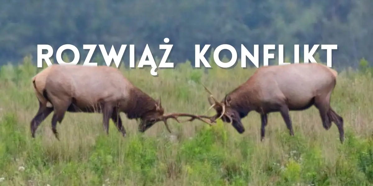 Rozwiąż konflikt