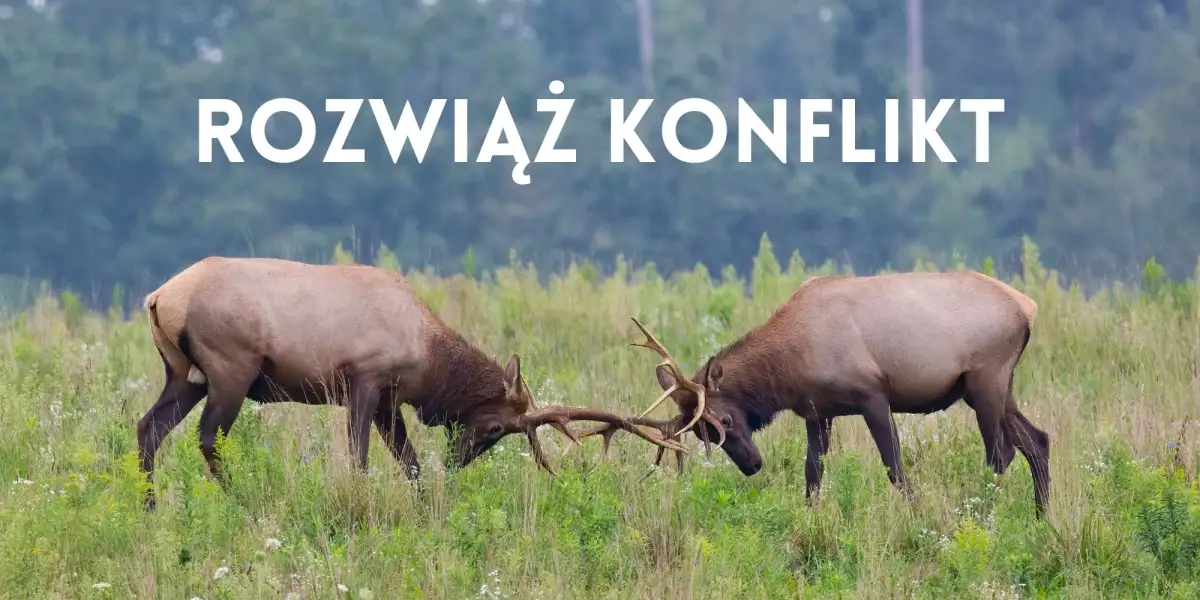 Rozwiąż konflikt