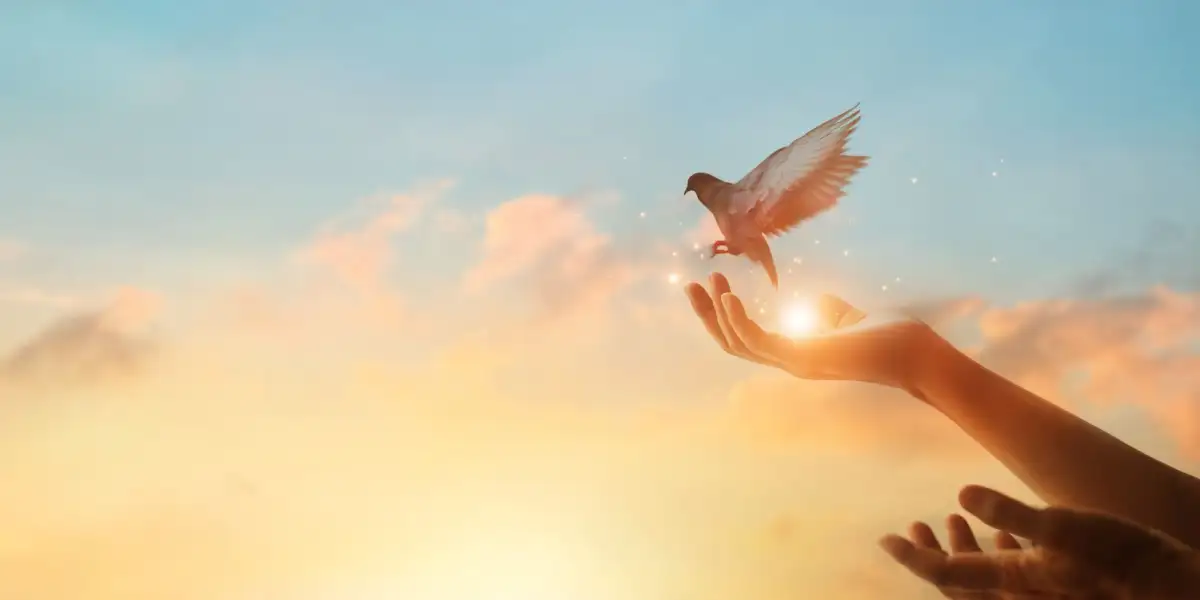 Przebaczenie ponad wszelkie wątpliwości