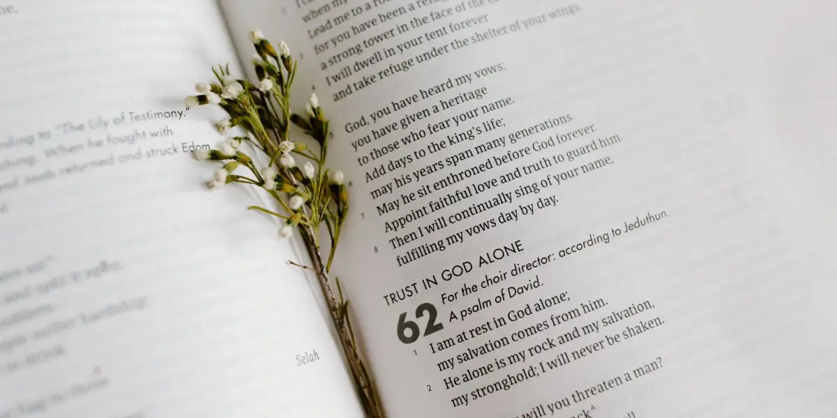 Fragmenty z Pisma Świętego o czystości seksualnej